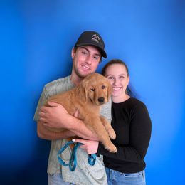 Golden Retriever Puppies from Studley Hill Goldens, LLC.