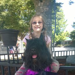 Bouvier des Flandres All Grown Up from Tomten Bouviers