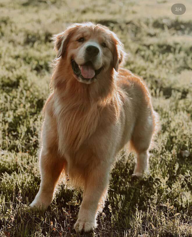 Murphy