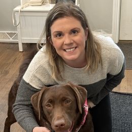 Labrador Retriever Puppies from Rose Gold Retrievers