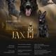 Jax