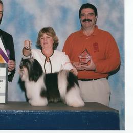 Havanese All Grown Up from Mary Lopez