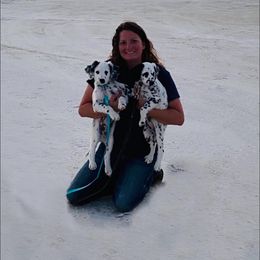 Dalmatian Puppies from Missouri Dalmatians