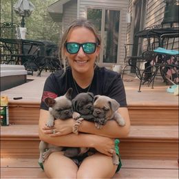 French Bulldog Puppies from Bleu Steele French Bulldogs