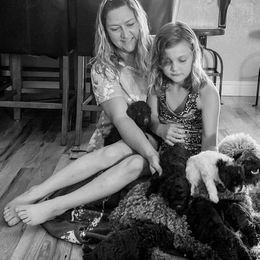 Lagotto Romagnolo Puppies from Anna’s Lagottos