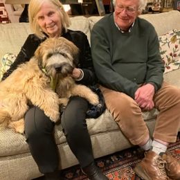 Soft Coated Wheaten Terrier Puppies from Wagging Wheatens