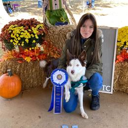 Calamity - Border Collie