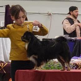 Bean - Tibetan Spaniel