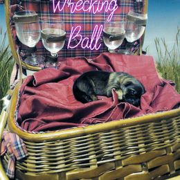 German Shepherd Puppies from Shepherd's Watch