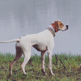 Pointers from Prosperity Pointers