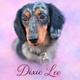 Dixie Lee