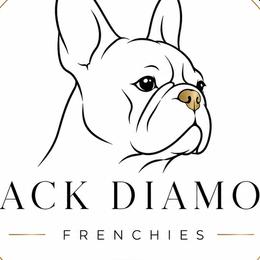 French Bulldogs from Black Diamond Frenchies