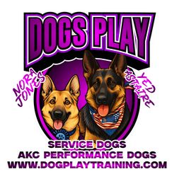 German Shepherd puppies from Dog's Play
