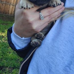 French Bulldog Puppies from Emeraldfrenchies