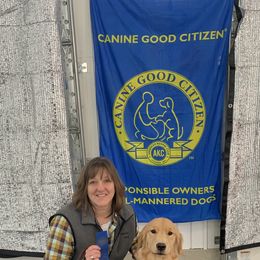 Golden Retriever Puppies from Davis Pond Goldens