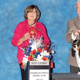 Cavalier King Charles Spaniels from Checkerboard