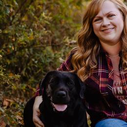 Labrador Retrievers from Alum Creek Labradors