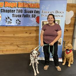 Dalmatian All Grown Up from Rosais Acres LLC