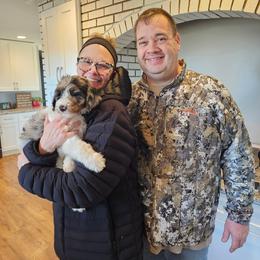 Dark Blue collar - Blue merle male Bernedoodle puppy in Shelby, North Carolina from Forever Grateful Doodles