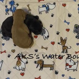 Boy 1 - Yellow male Labrador Retriever puppy in Newport, North Carolina from AKS’s Water Bound Retrievers
