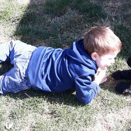 Cocker Spaniel Puppies from Doc's Cockers
