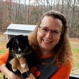 Toy Australian Shepherd Puppies from Reflections of Star Crest Kennel