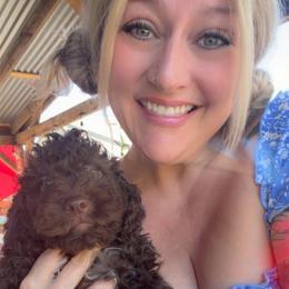 Gino - Brown roan male Lagotto Romagnolo puppy in Chico, California from Anna’s Lagottos