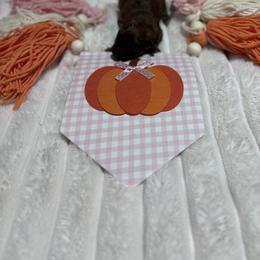 Poodle Puppies from Lixira Poodles