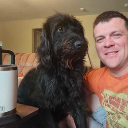 Dachshund, Labradoodle, and Labrador Retriever All Grown Up from Muddy Bay Kennels