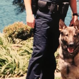 Carl - German Shepherd