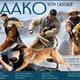 Baako
