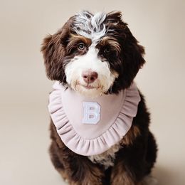 Bernedoodles and Goldendoodles from Brewing Doodles