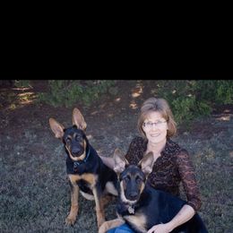 German Shepherd Puppies from Kindheitstraum Kennels