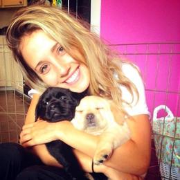 Chihuahua and Labrador Retriever Puppies from Cranbrook Kennels