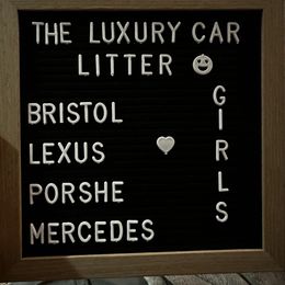 Mercedes - Apricot female Goldendoodle puppy in Sanderson, Florida from Serenity Goldendoodles