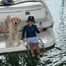 Golden Retriever Puppies from Chrysanthos Golden Retrievers