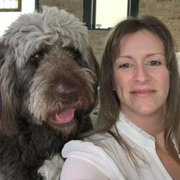 Ruby - Saint Berdoodle