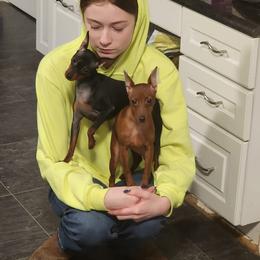 Miniature Pinscher Puppies from Hundeholz