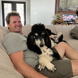 Goldendoodle, Golden Retriever, and Poodle Puppies from Angelic Goldens