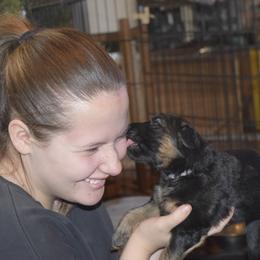 German Shepherd Puppies from Import German Shepherds of Kansas