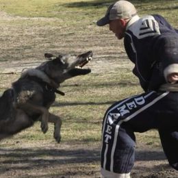 German Shepherds from Norden German Shepherds