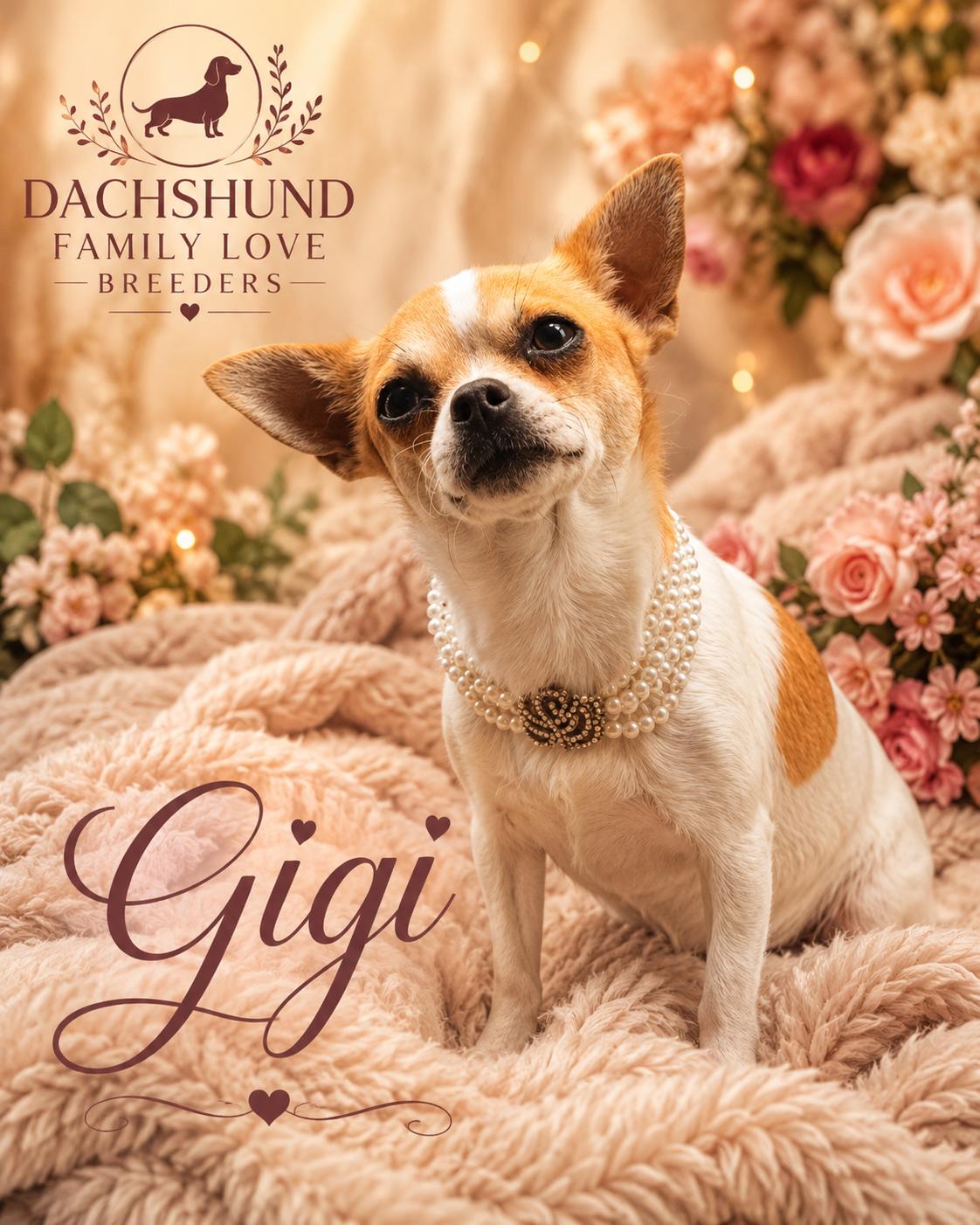 Gigi