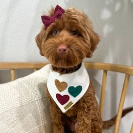 Regan - Caramel red Australian Labradoodle puppy in Palmdale, California from Doodles_Ko