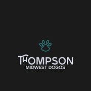 Dogo Argentino puppies from Thompson Midwest dogos