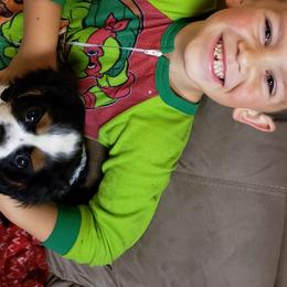 Cavalier King Charles Spaniel Puppies from Heritage Garden Cavaliers