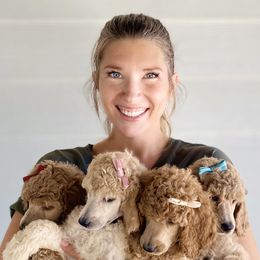 Bernedoodle, Goldendoodle, and Poodle Puppies from Central Valley Canine Companions
