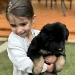 German Shepherd Puppies from AB_Elite_GSD