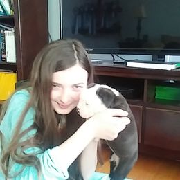 Alapaha Blue Blood Bulldog Puppies from Eclipse Alapaha Kennels