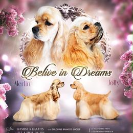 Cocker Spaniel puppies from Belive in Dreams Cockers
