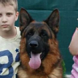 Homar - German Shepherd